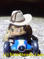 /home//u458753944/public_html/sourcegallery//////////////Roxborough Toad Detour/2022/2022-04-14 and 04-13/P4141022.JPG